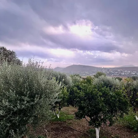 Διαμέρισμα Fjorald Cuke