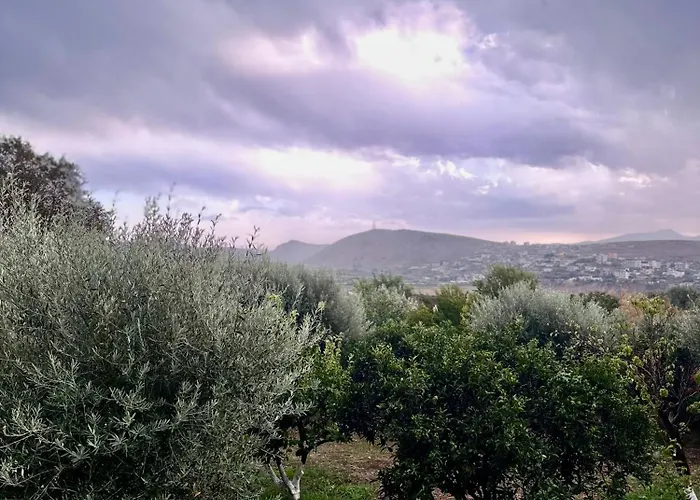 Appartement Fjorald Cuke